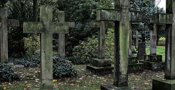 Grave yard full of crosses