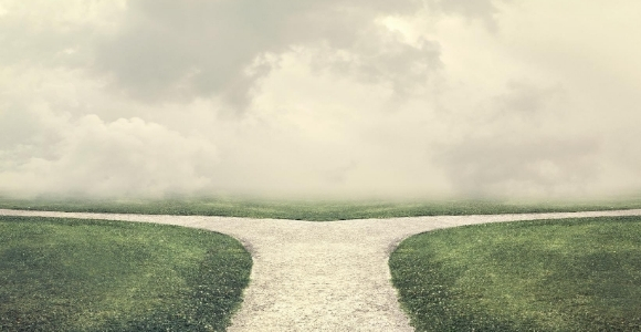 diverging paths