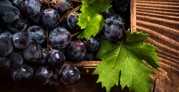 grapes attached to a vine