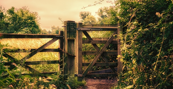 Sheep gate